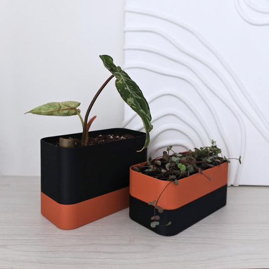 Two self watering planters with plants, minimalist home decor styling