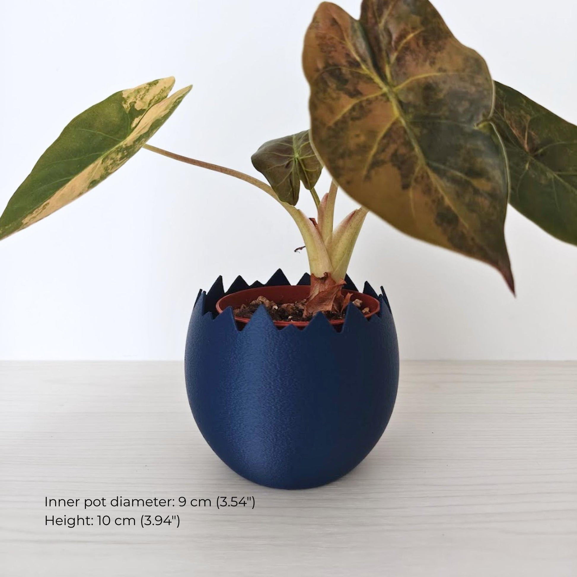 Medium cracked eggshell planter with leafy plant on a light surface