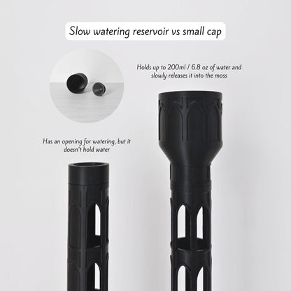Small cap and slow-watering reservoir option shown attached to the top of the gothic moss pole, with individual cap pieces displayed beside it.