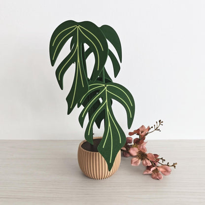 Front view of the Monstera Burle Marx Flame coaster set standing in a wooden holder with pink flowers on the side.