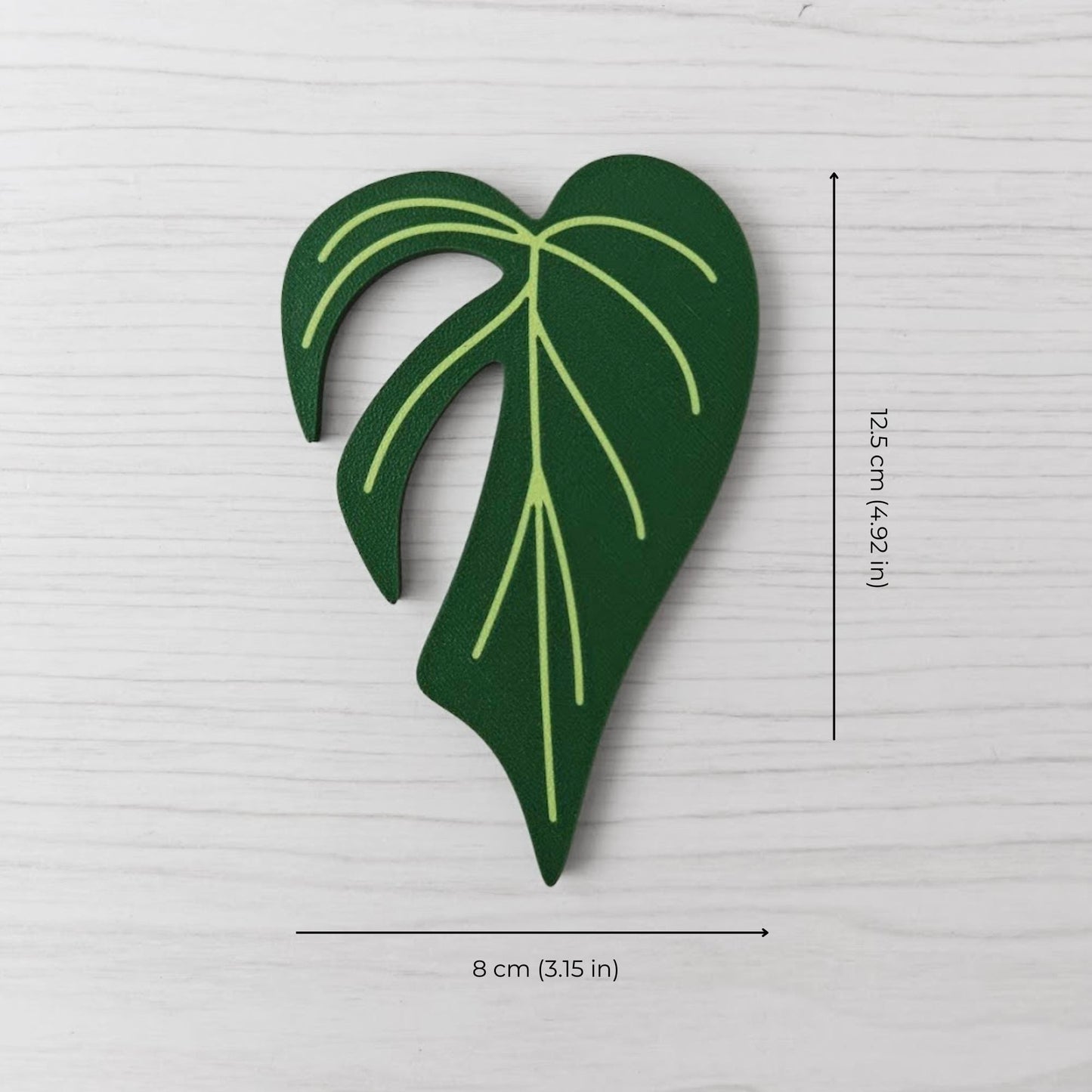Size reference photo of the Monstera Burle Marx handle showing dimensions: 8 cm (3.15 in) wide and 12.5 cm (4.92 in) high.