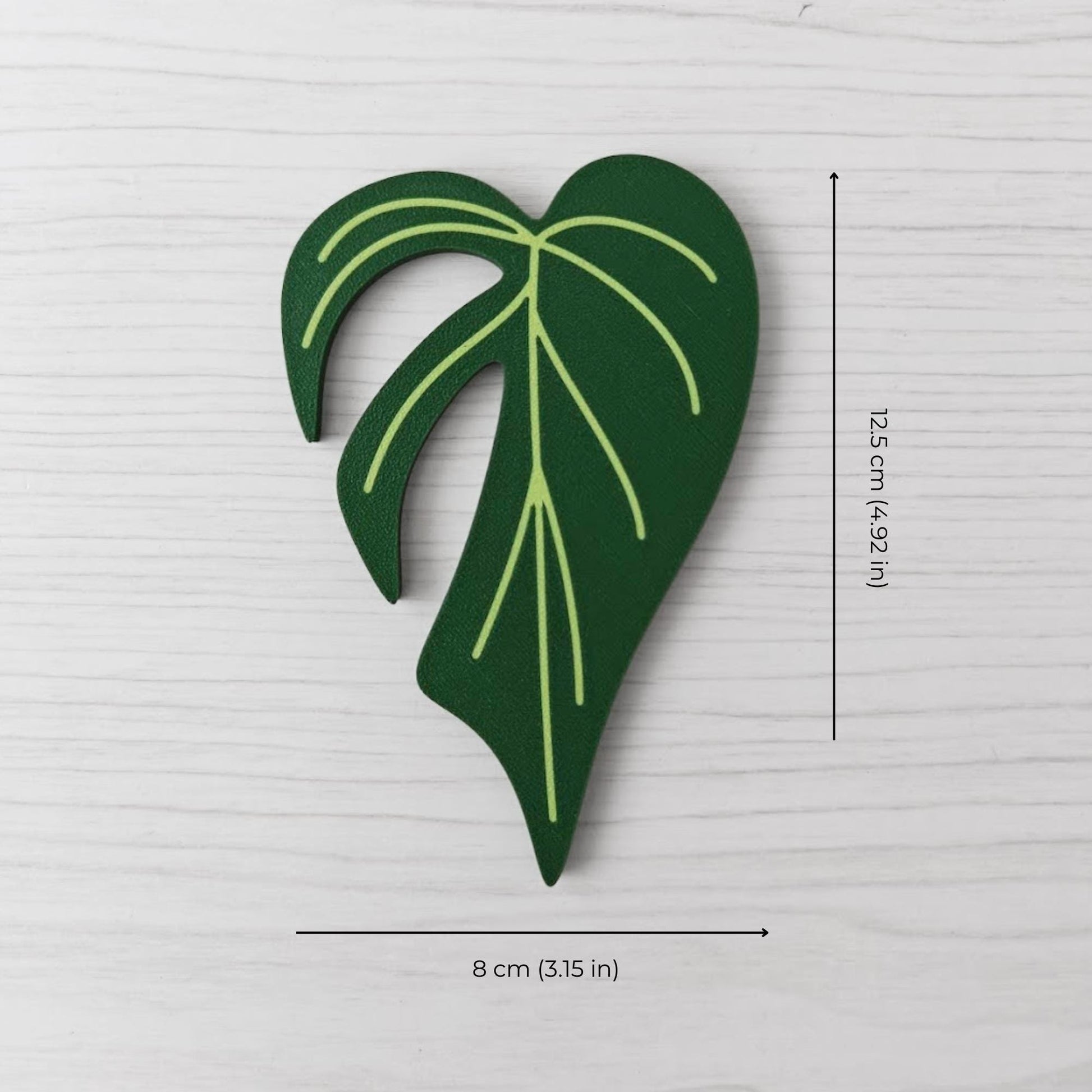 Size reference photo of the Monstera Burle Marx handle showing dimensions: 8 cm (3.15 in) wide and 12.5 cm (4.92 in) high.