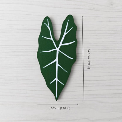 Size reference photo of the Alocasia Frydek handle showing dimensions: 6.7 cm (2.64 in) wide and 14.5 cm (5.71 in) high.