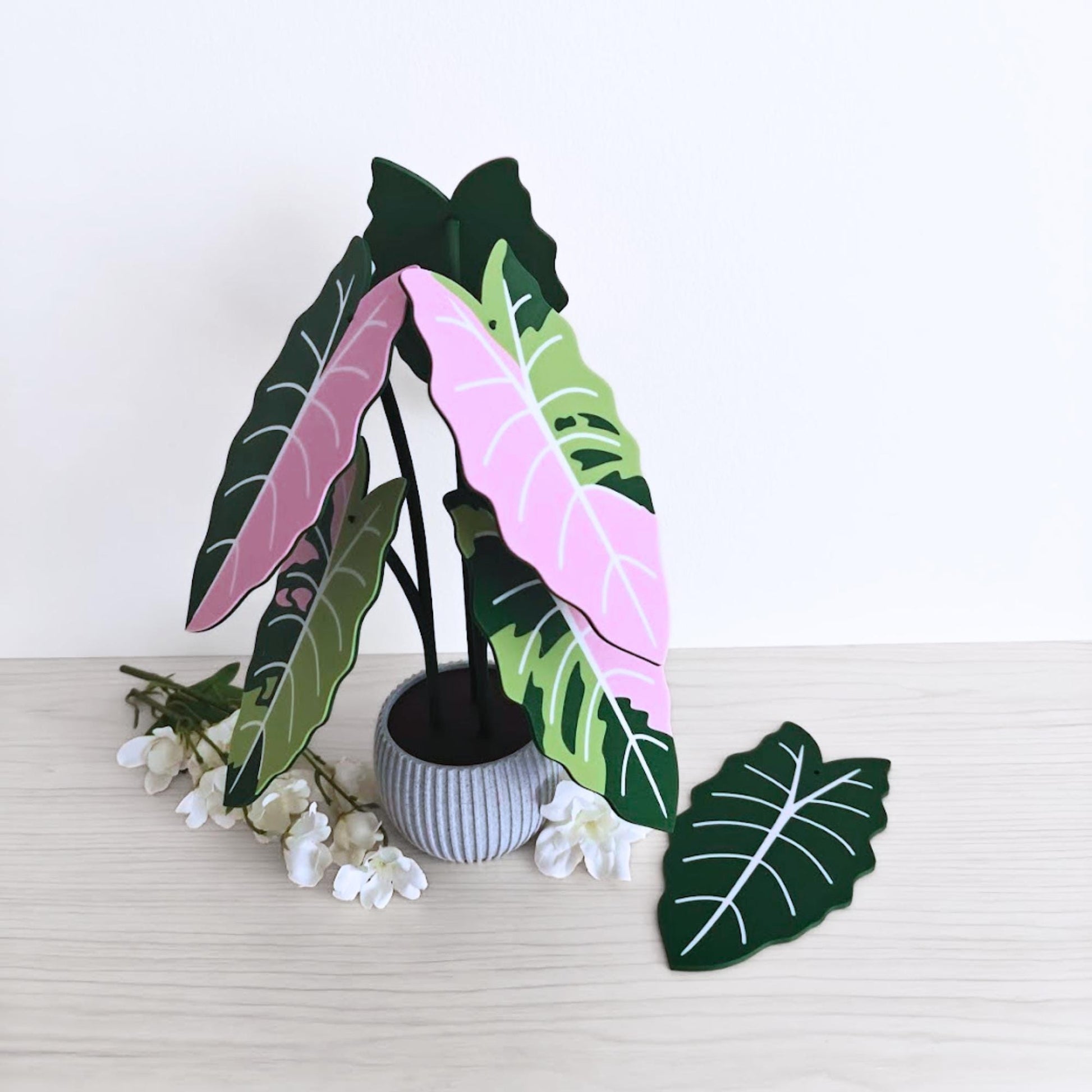 Alocasia Chantrieri Pink coaster set displayed upright in a holder like a small plant arrangement, with one coaster placed in front and white flowers beside it.