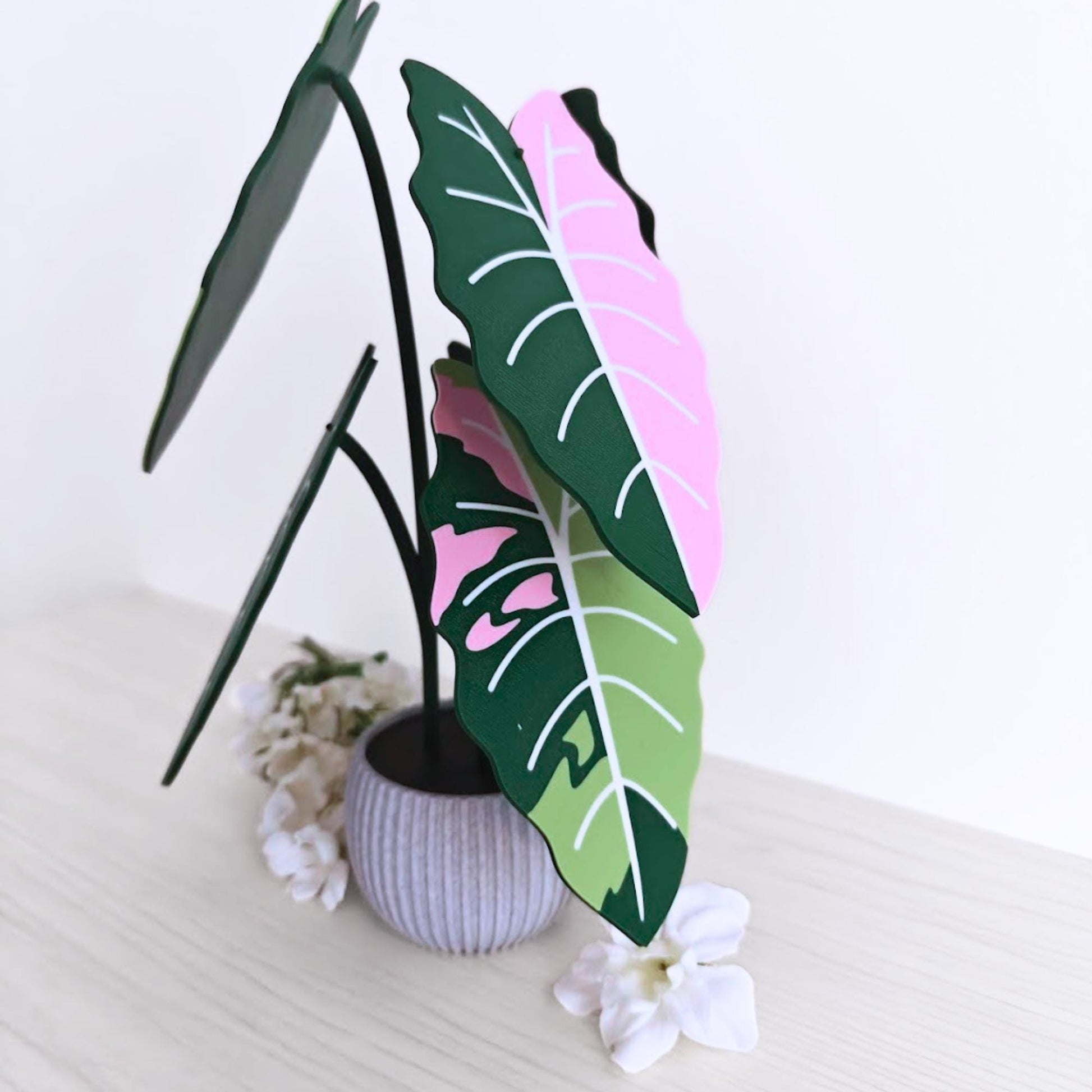 Angled side view of the Alocasia Chantrieri Pink coaster set arranged in the holder.