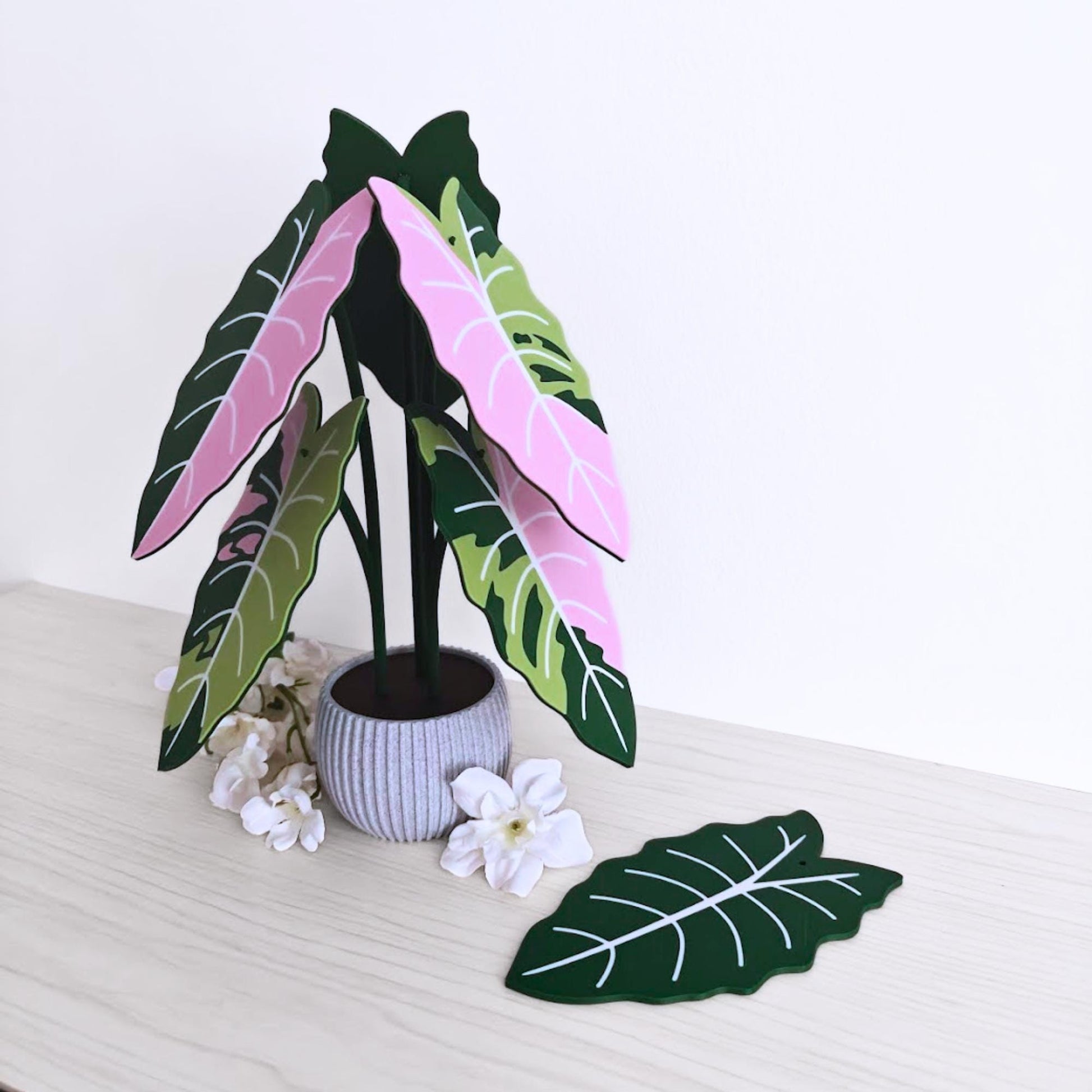 Front view of the coaster set displayed in the holder with one leaf coaster placed in front.