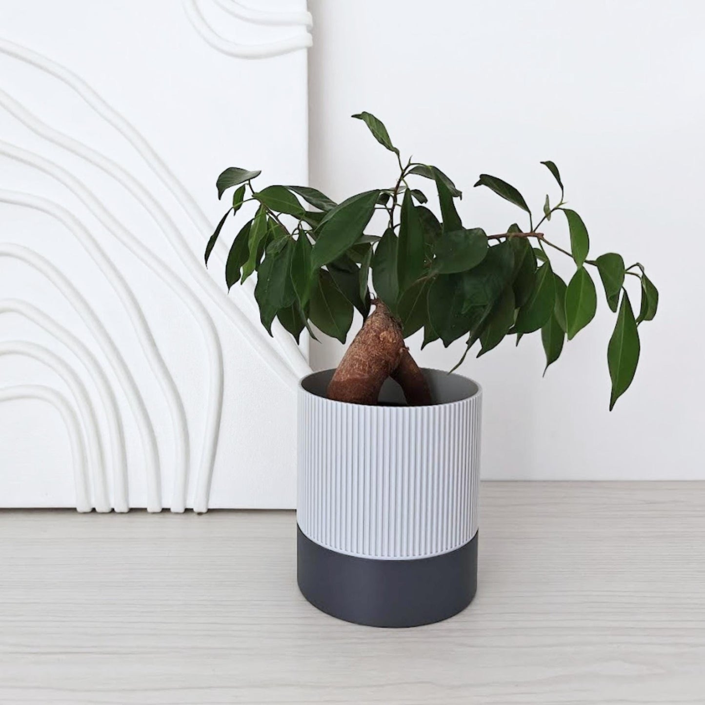 Ribbed self-watering planter with a plant placed inside on a light surface.