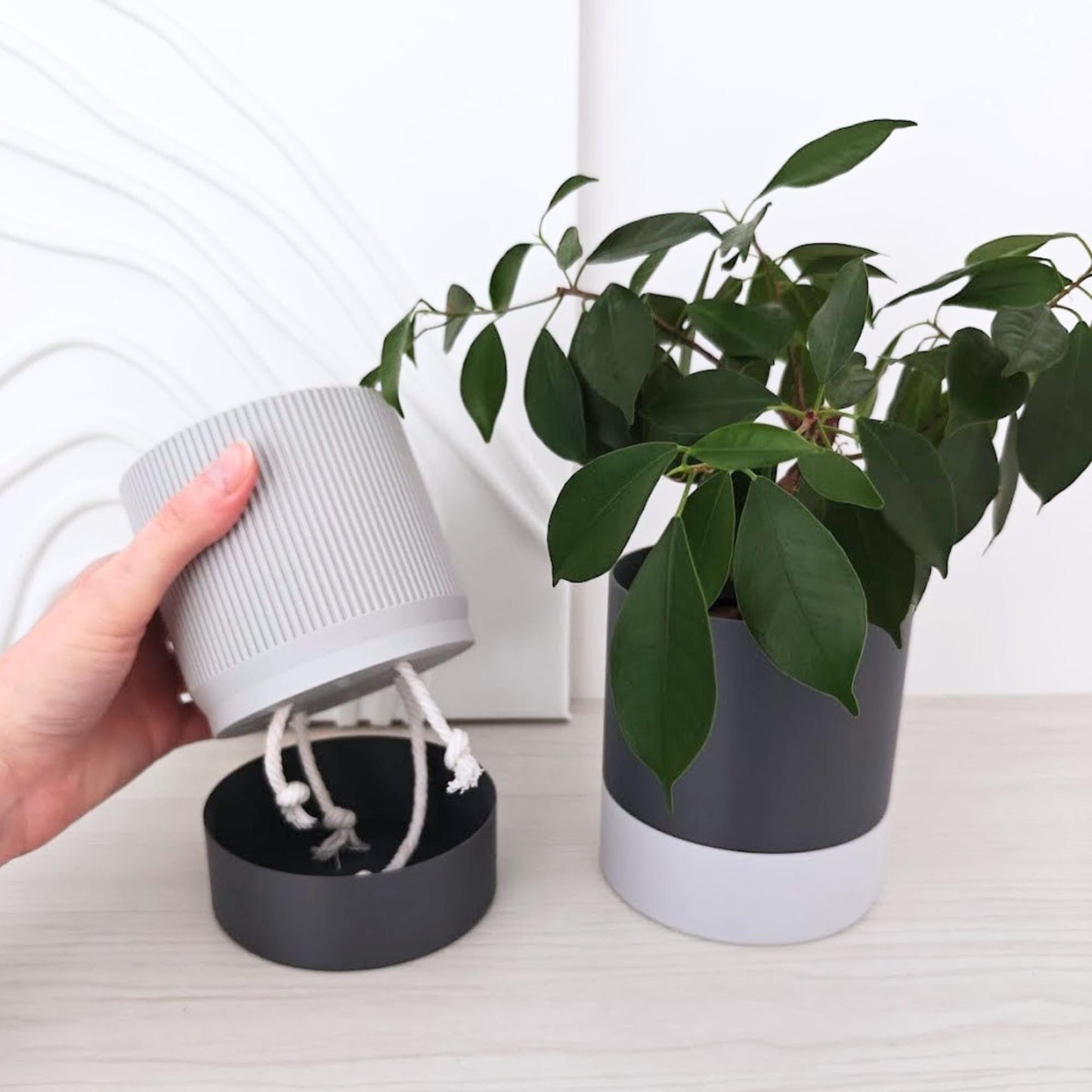 Demonstration photo showing the inner pot being lifted out of the water reservoir, with cotton ropes visible underneath.