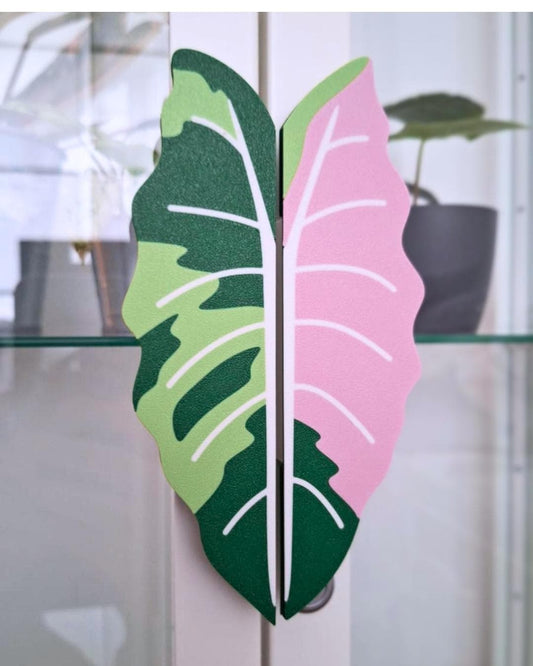Variegated Alocasia leaf handle in green and pink mounted on glass cabinet door