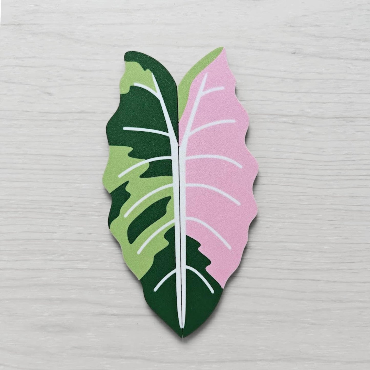 Variegated Alocasia handle (green and pink) placed on flat surface showing full shape