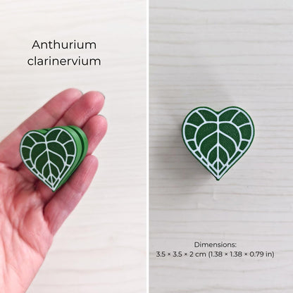 Anthurium clarinervium leaf clicker fidget heart-shaped design close-up