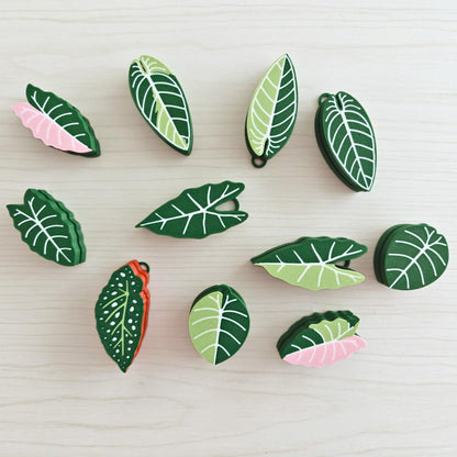 Leaf clicker fidget toys in various plant designs on wooden background