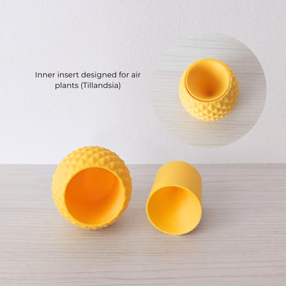 Pineapple planter with removable inner insert designed for air plants, top and side view