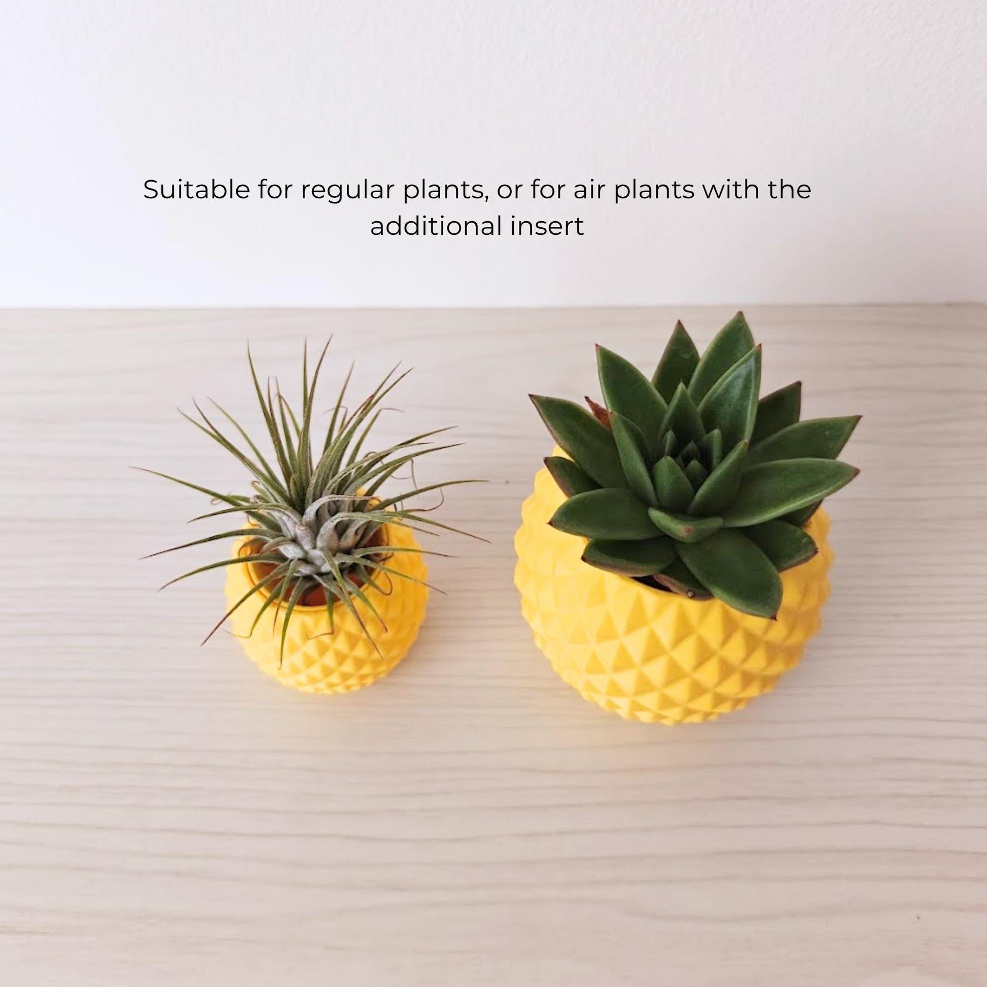 Pineapple planter styled with air plant and succulent, showing use with and without insert