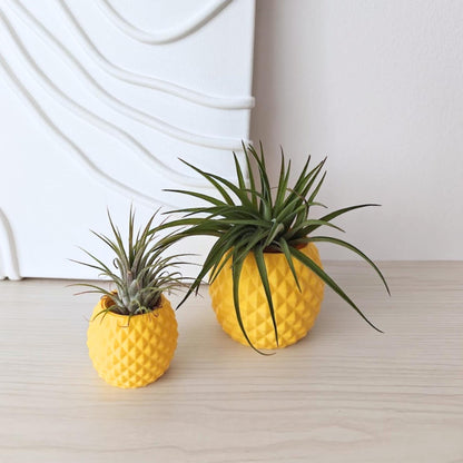 Yellow pineapple planters with air plant and succulent on wooden surface, soft neutral background