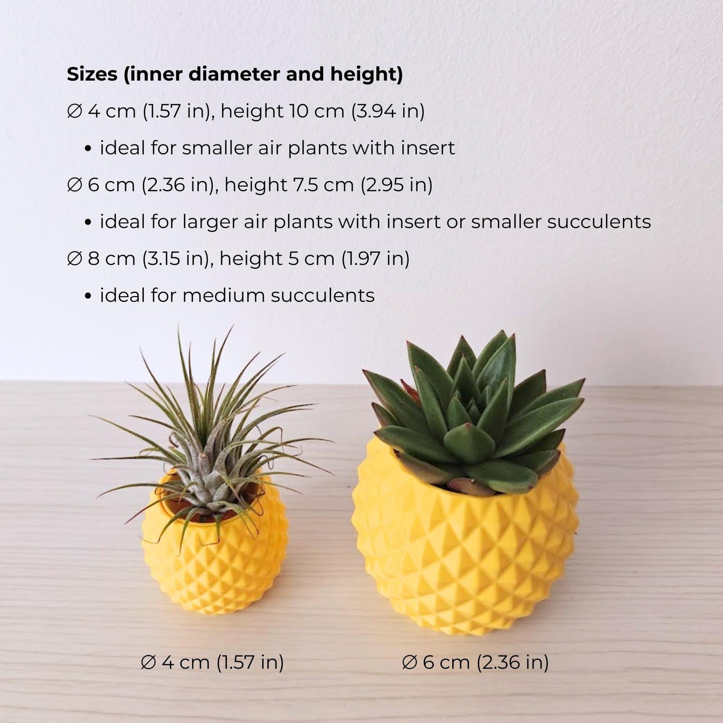 Two pineapple planters showing size options with air plant and succulent, size comparison layout