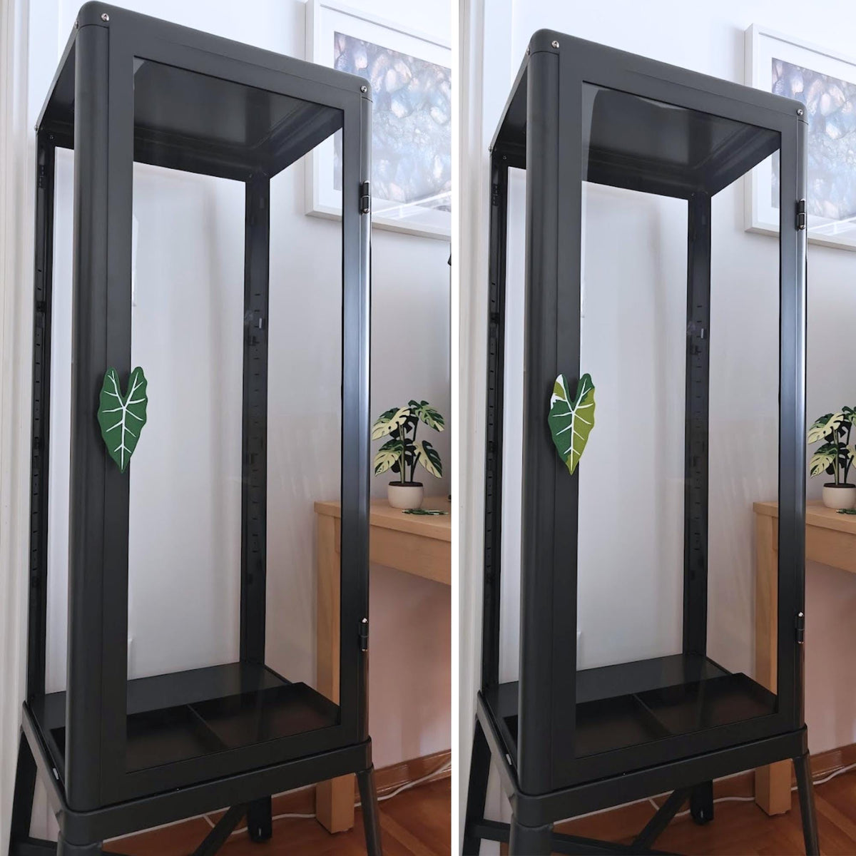 Alocasia handles mounted on Fabrikor cabinets