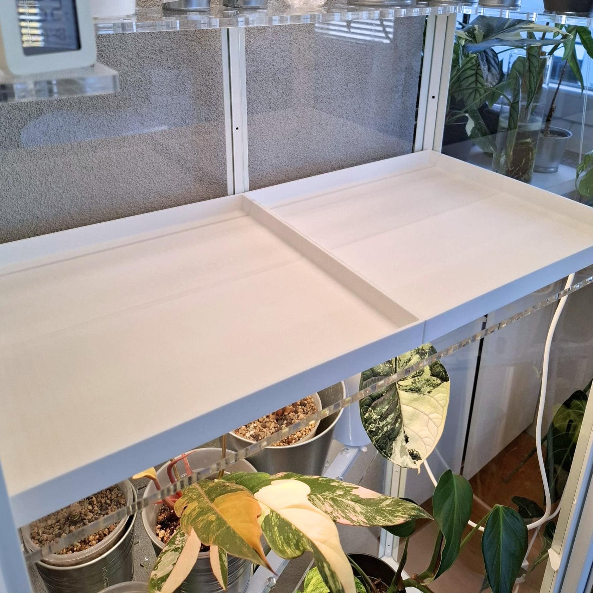 Drainage trays inside plant cabinet with plants underneath shelf