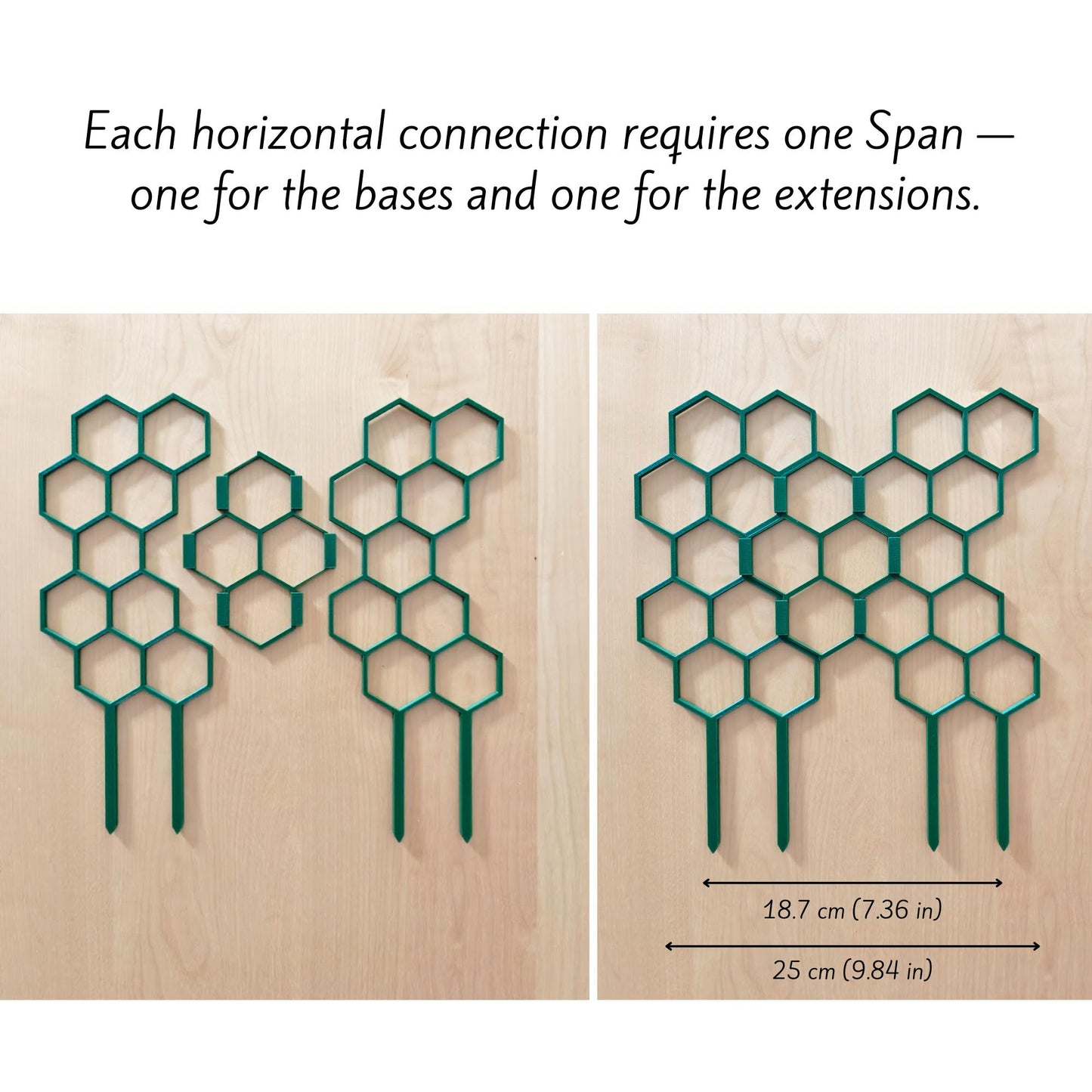 Honeycomb trellis sections connected horizontally to create wider plant support