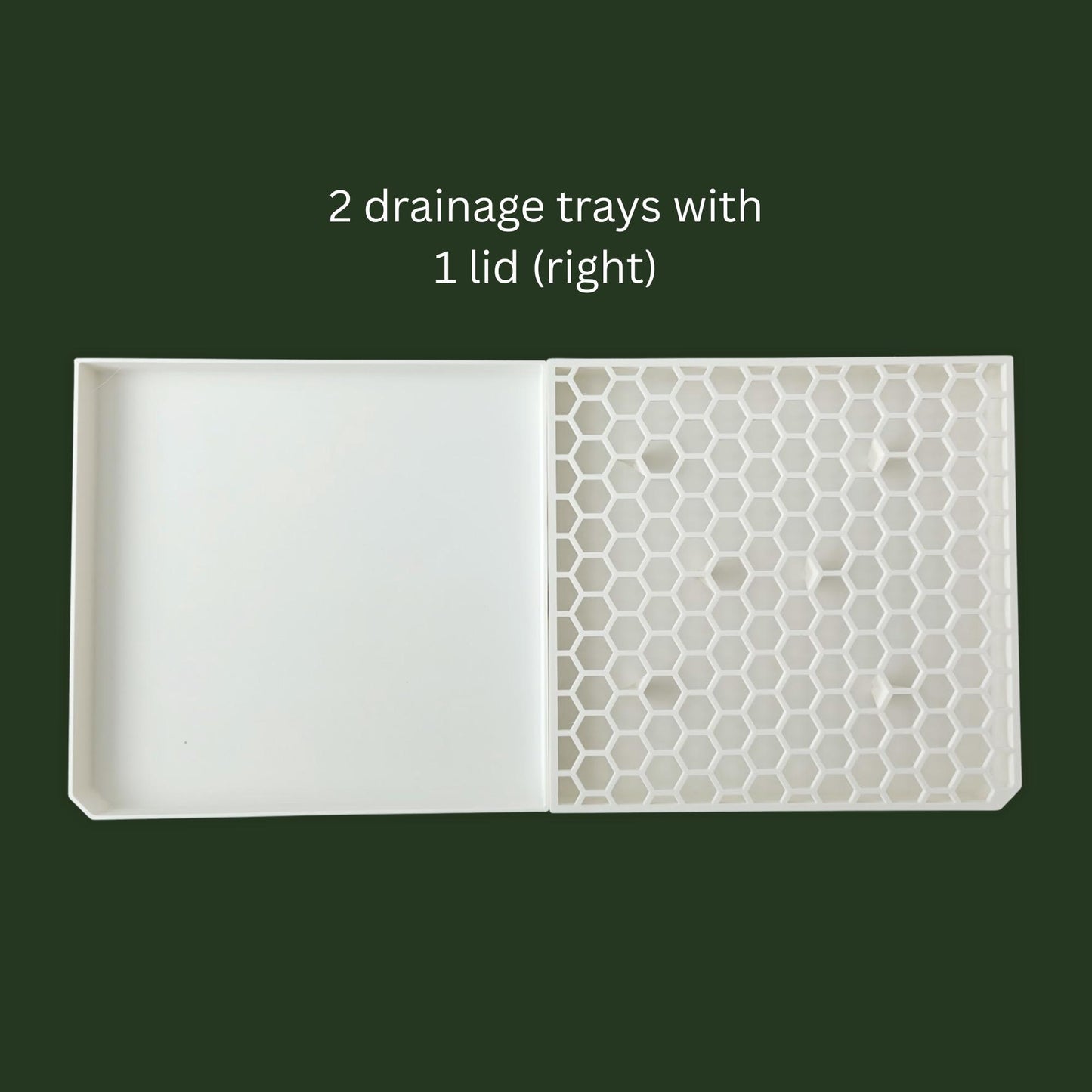 2 drainage trays with 1 lid (right)