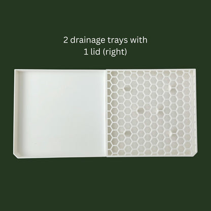 2 drainage trays with 1 lid (right)
