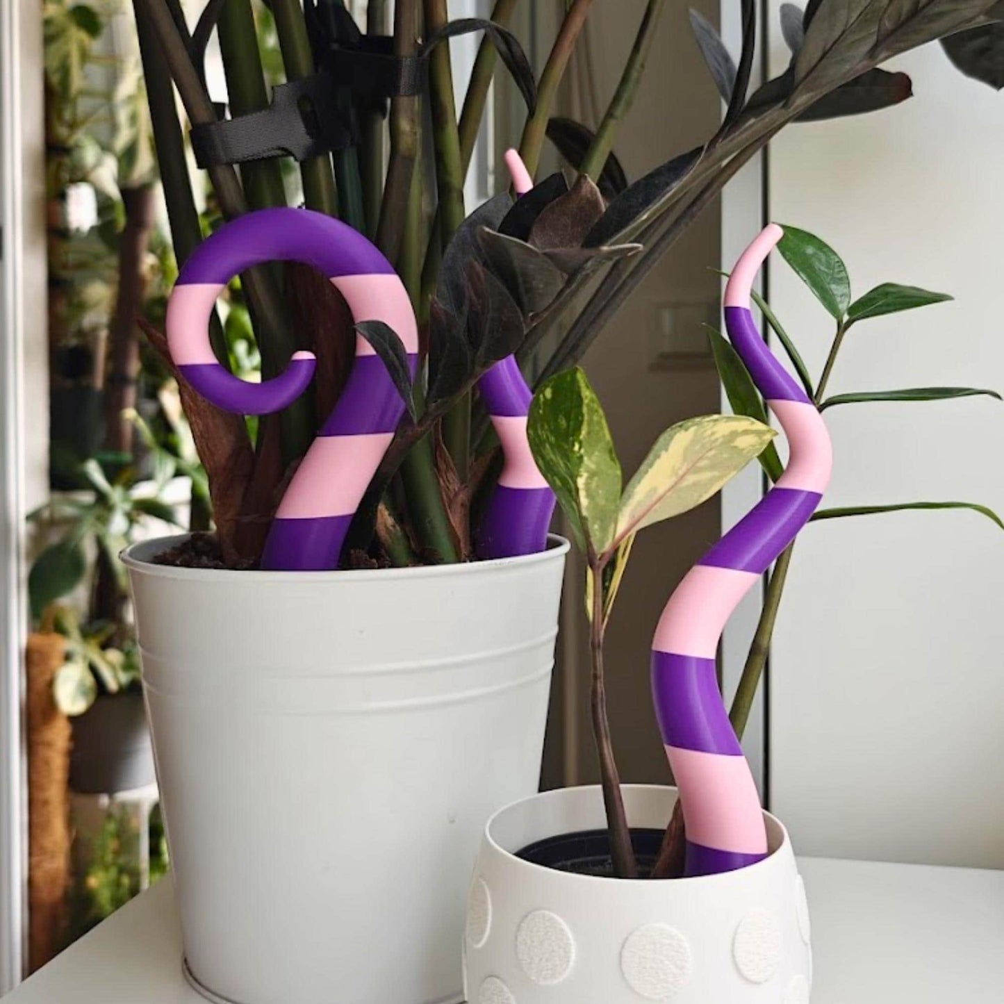 Sandworm plant stakes in flower pot, purple and pink decor used with indoor plants