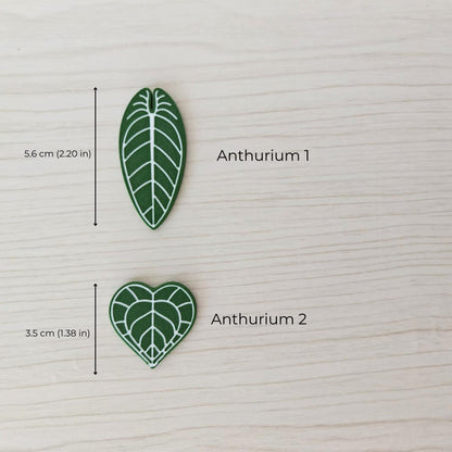 Anthurium magnets
