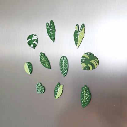 Set of 10 green leaf-shaped fridge magnets including monstera, alocasia, begonia and anthurium designs arranged on a magnetic surface