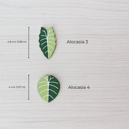 Alocasia magnets