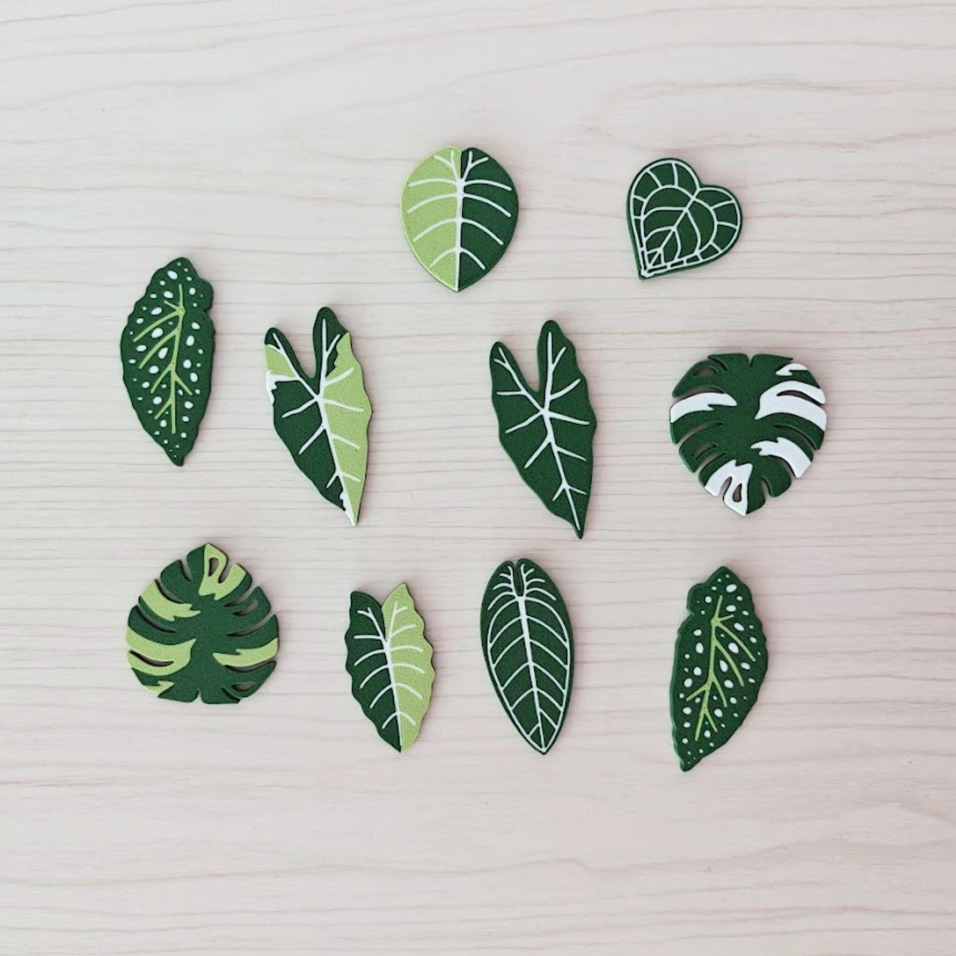Set of 10 green leaf-shaped fridge magnets including monstera, alocasia, begonia and anthurium designs arranged on a wooden surface