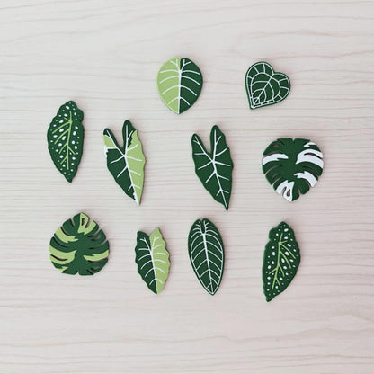 Set of 10 green leaf-shaped fridge magnets including monstera, alocasia, begonia and anthurium designs arranged on a wooden surface