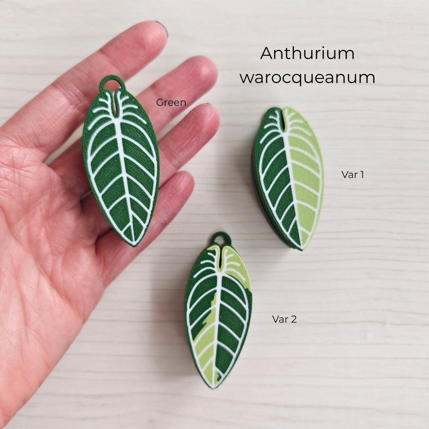 Anthurium warocqueanum leaf clicker fidget with long leaf shapes