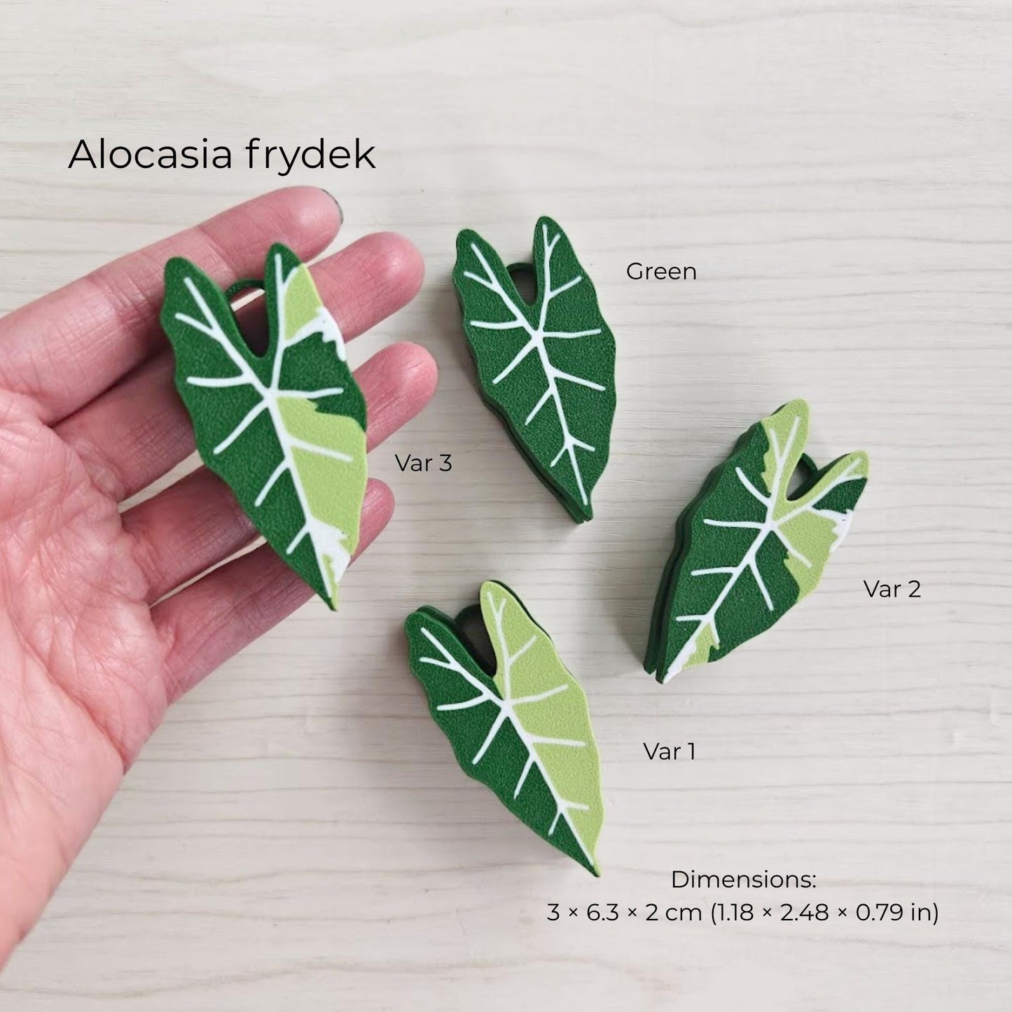 Alocasia frydek leaf clicker fidget set with different green shades