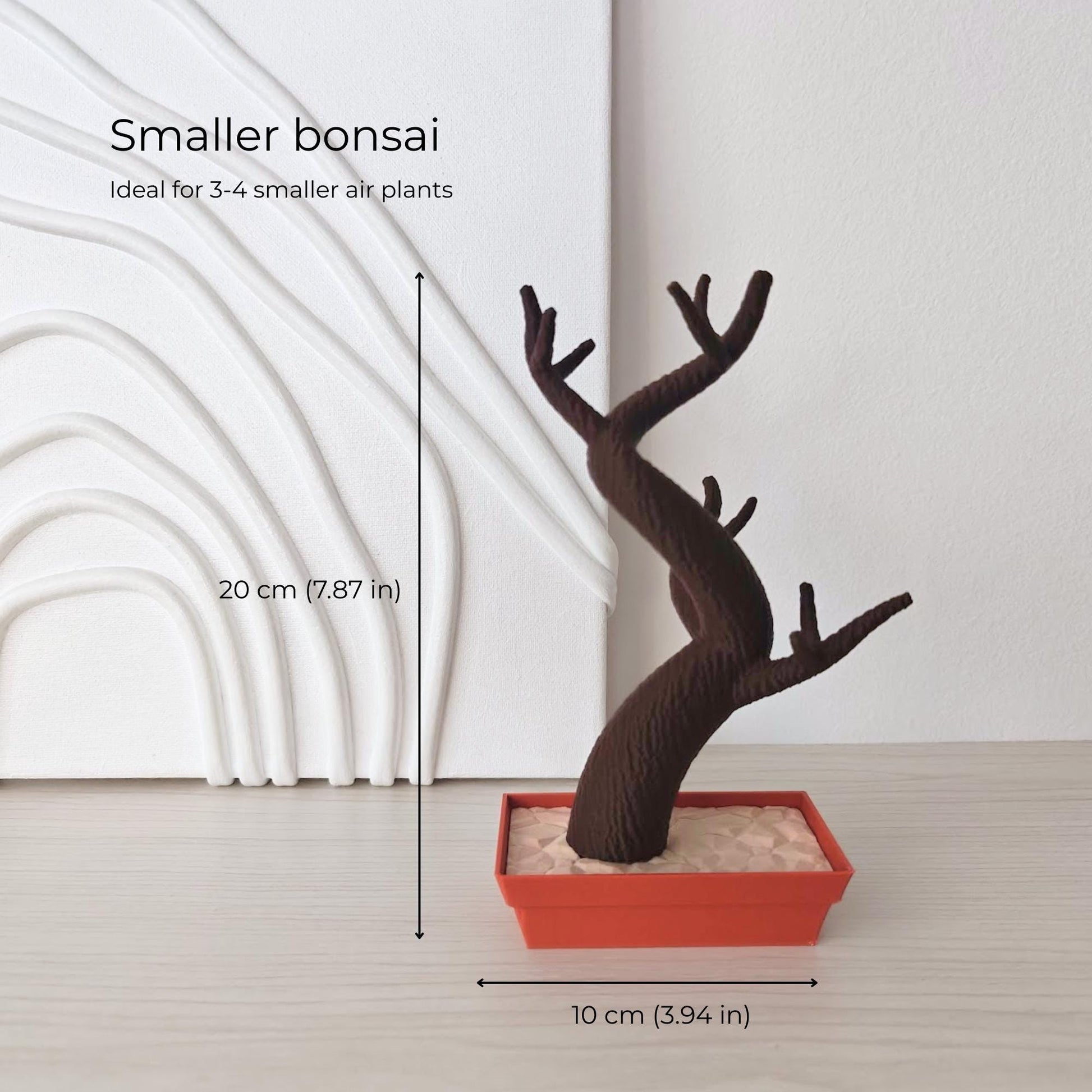 Smaller bonsai air plant holder with dimensions shown (20 cm height, 10 cm base width)