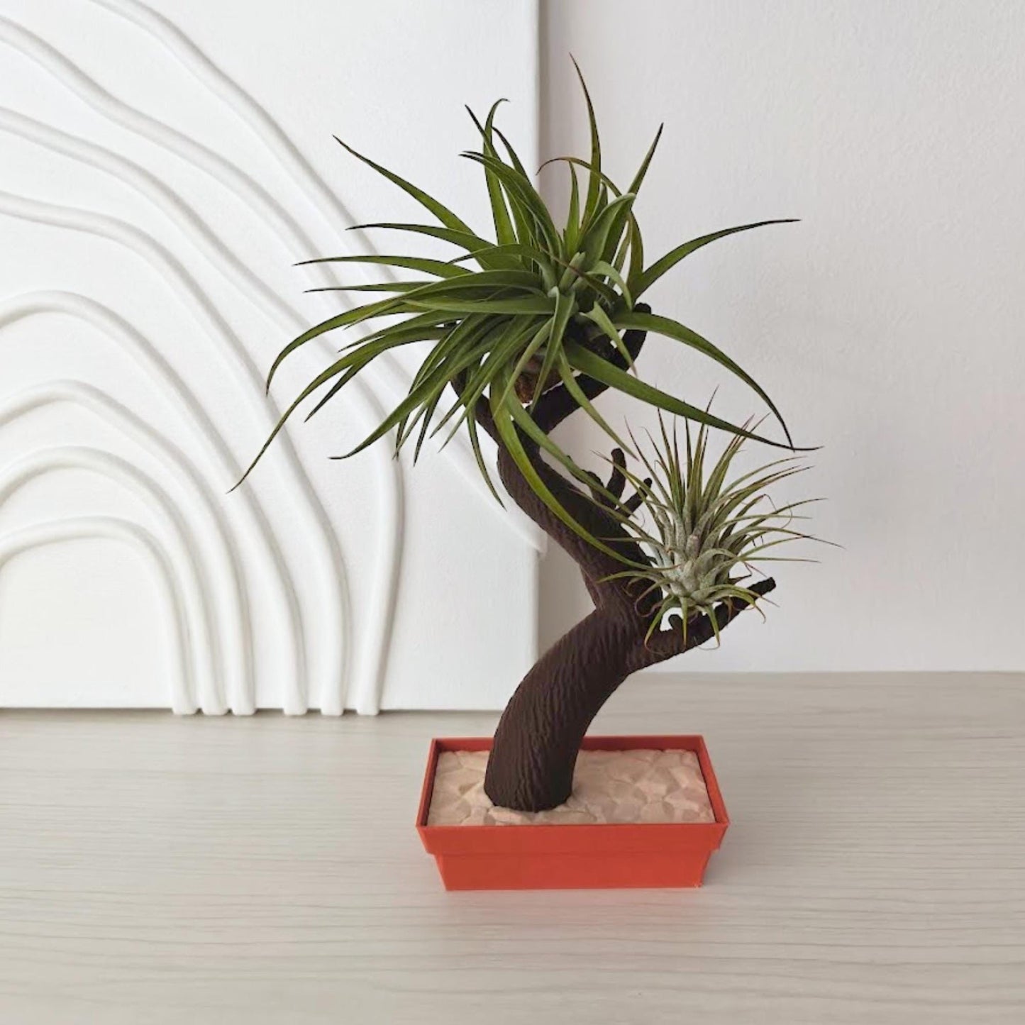Bonsai air plant holder with two Tillandsia plants on branches, rectangular base, minimalist background