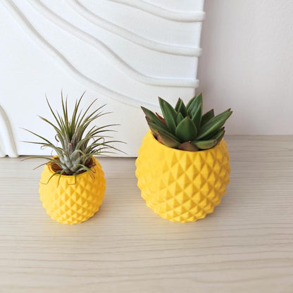 Yellow pineapple planters with air plant and succulent on wooden surface, soft neutral background
