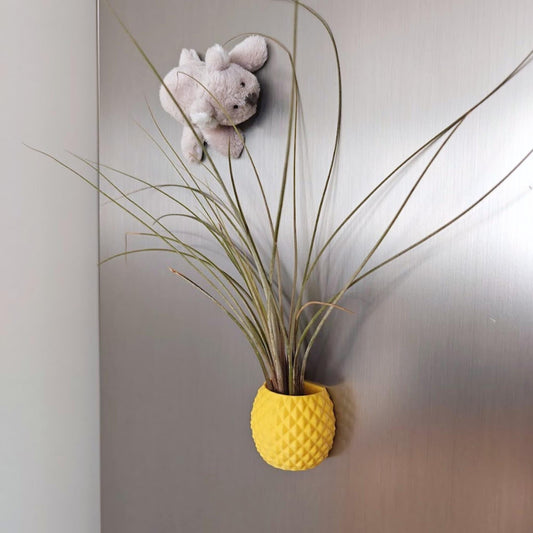 Pineapple magnetic planter with air plant attached to metal surface, minimal decor background