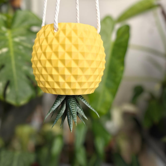 Hanging pineapple planter with trailing plant, styled in indoor greenery setting