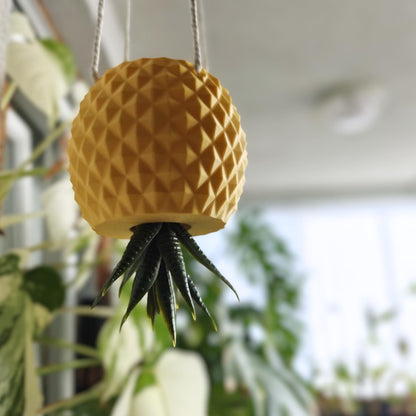 Inverted pineapple planter hanging with trailing plant growing downward, bright indoor setting