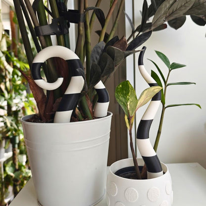Sandworm plant stakes in flower pot, white and black decor used with indoor plants