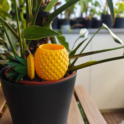 Pineapple watering spike inserted into soil in a black indoor plant pot without the lid.