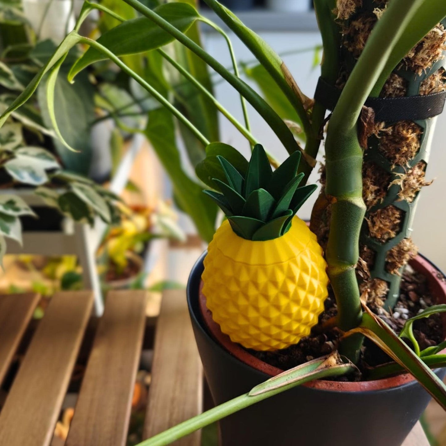 Pineapple-shaped watering spike placed in a potted houseplant with removable leafy lid attached.