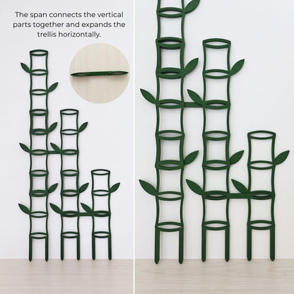 Multiple bamboo trellises connected horizontally with span connectors to create a wider expandable climbing support system.