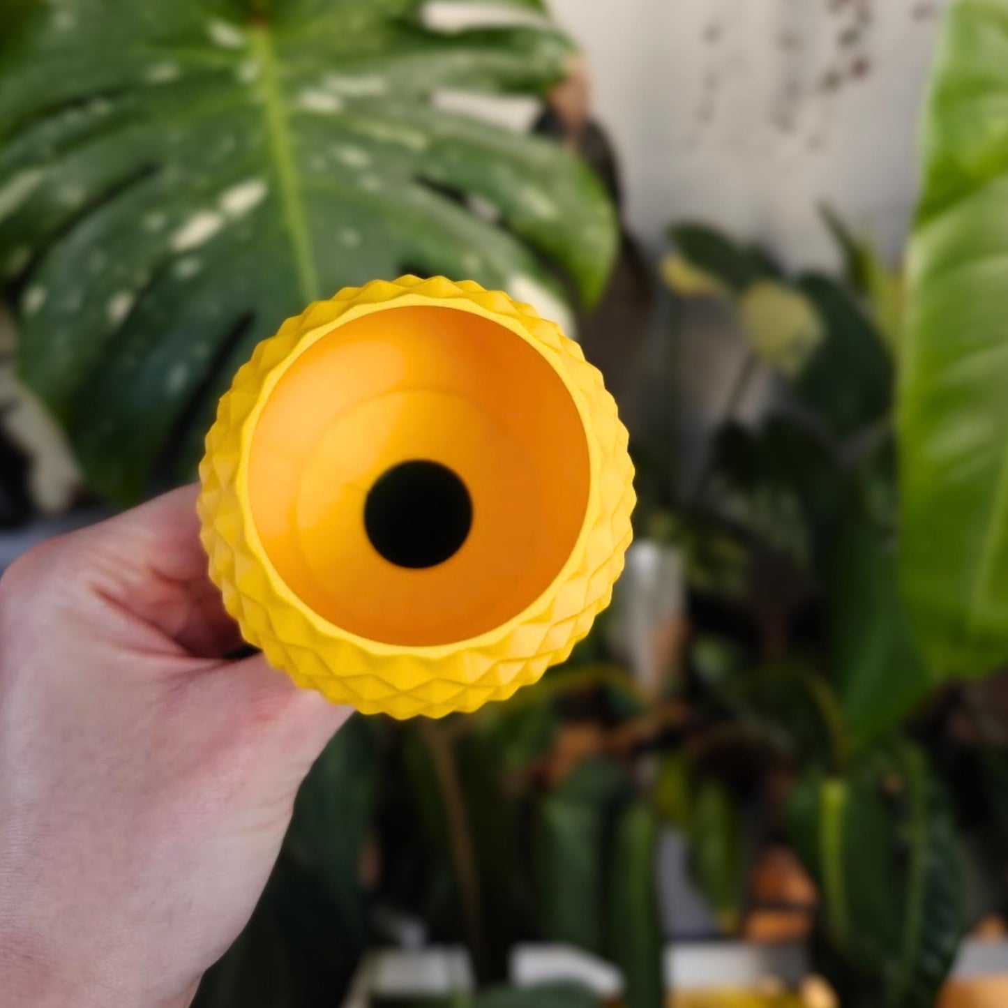 Inside view of the pineapple watering spike showing the water reservoir and drainage hole.