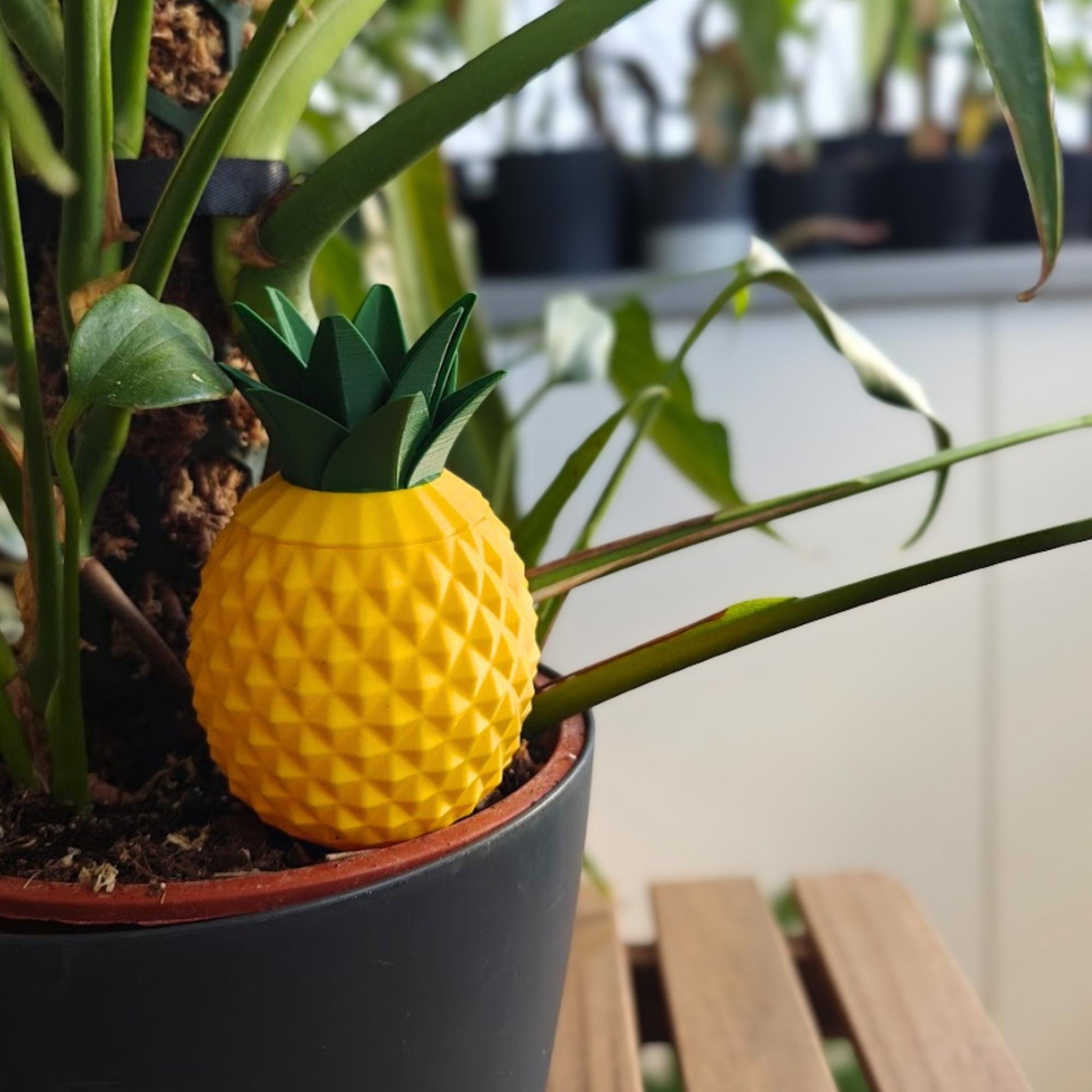 Pineapple-shaped watering spike placed in a potted houseplant with removable leafy lid attached.