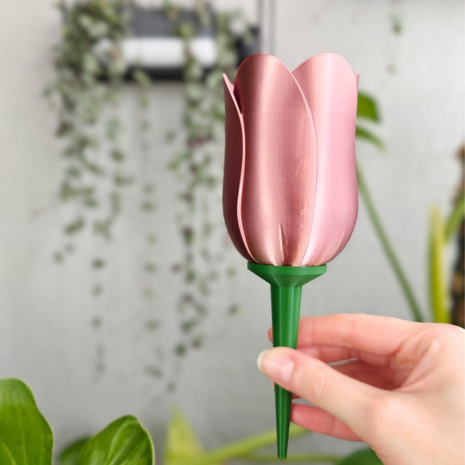 Dark copper tulip watering spike held in front of a plant pot, showing the flower-shaped water container and green soil spike.