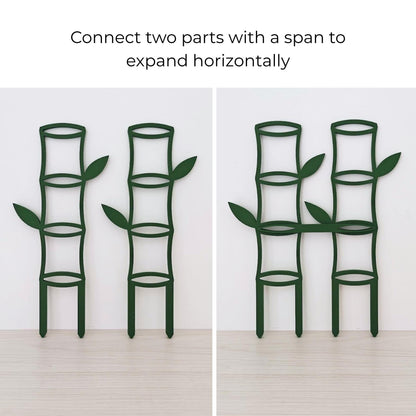 Multiple bamboo trellises connected horizontally with span connectors to create a wider expandable climbing support system.