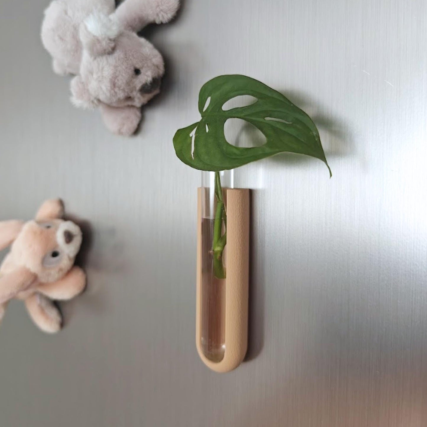 Magnetic propagation holder mounted on fridge with a small plant cutting placed inside the included test tube.