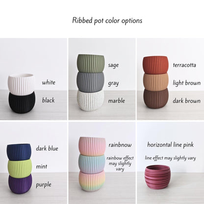 Choose your pot design and color