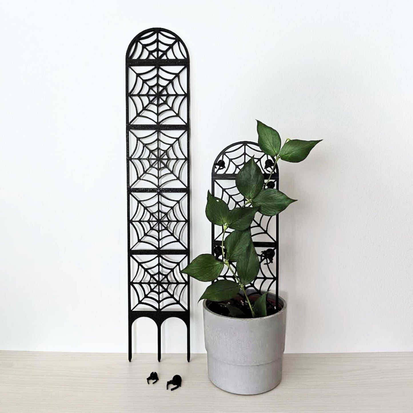 Black spiderweb extendable modular plant trellis displayed with a potted climbing houseplant and spider clips.